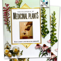 Encyclopedia of Medicinal Plants